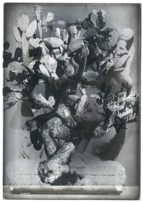 Liat Grayver, Sabra and Ganesha, 2016, zwei Platten Photopolymer, 30 x 21 cm