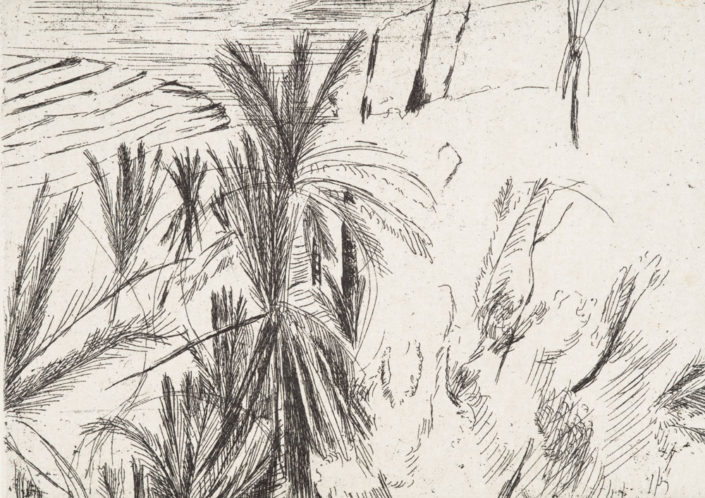 Yvette Kießling, aus der Kassette „Marokko – Tizi-n-Test“, 6 Blätter, 2016, Strichätzung (Radierung) und Chincolleé, 29 x 42 cm