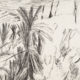 Yvette Kießling, aus der Kassette „Marokko – Tizi-n-Test“, 6 Blätter, 2016, Strichätzung (Radierung) und Chincolleé, 29 x 42 cm