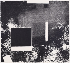 Nora Mona Bach