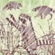 Soenke Thaden