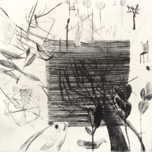 Heike Wadewitz