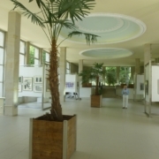 Aufbau der Ausstellung