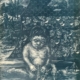 Susann Hoch