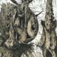 Stephan Klenner-Otto